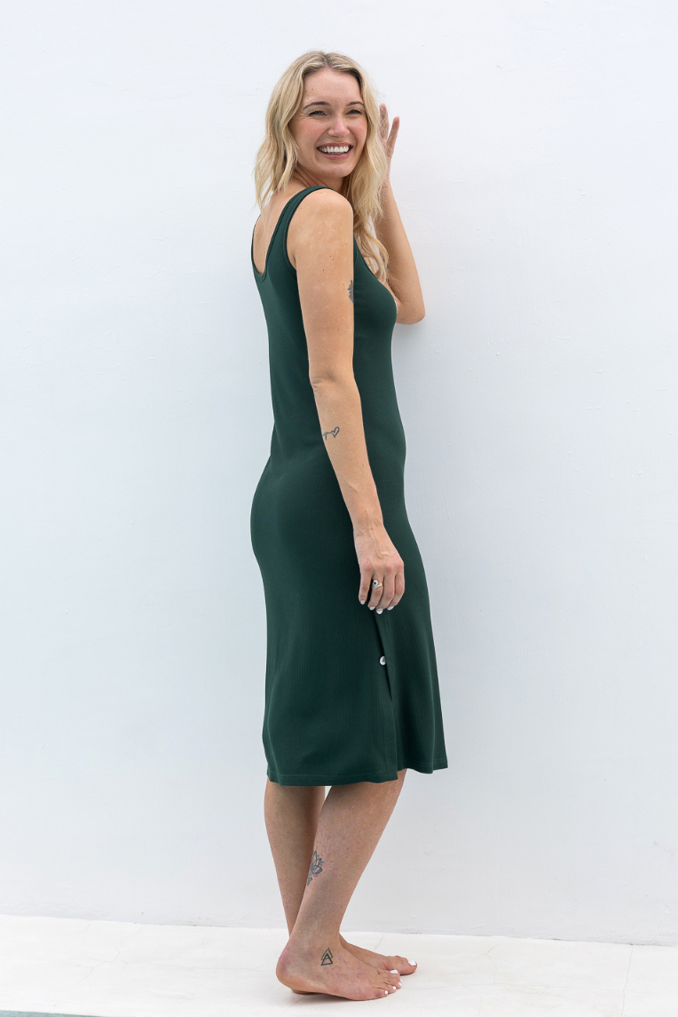 Lydia Reversible Nursing Dress